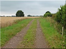 ST4734 : Track to Lower Ivy Thorn Farm by Roger Cornfoot