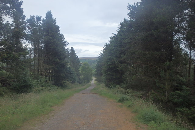 Track, Little Ayton Moor