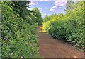 Path through Elfield Park