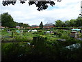 Gatacre Allotment site, Oswestry