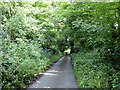 A lane leading from Penychain station to the main road