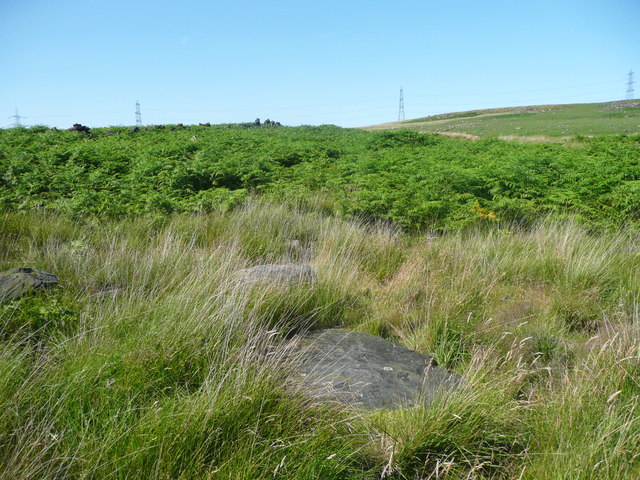 Site of sheepfold, Chelburn Moor