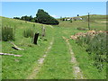 Track and Footpath from Noyna End to Throstle Nest