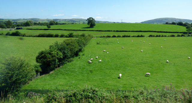 Farmland near Deepthwaite