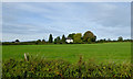 Pasture south-east of Norbury in Cheshire