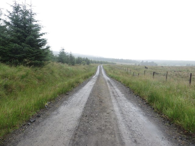 Forest track south of Hans Hill