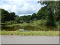 Wentworth Golf Course -  Lake near The Dormy House