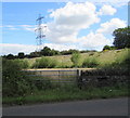 Electricity pylon near Westerleigh West Junction