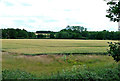 Farmland Near Thuxton