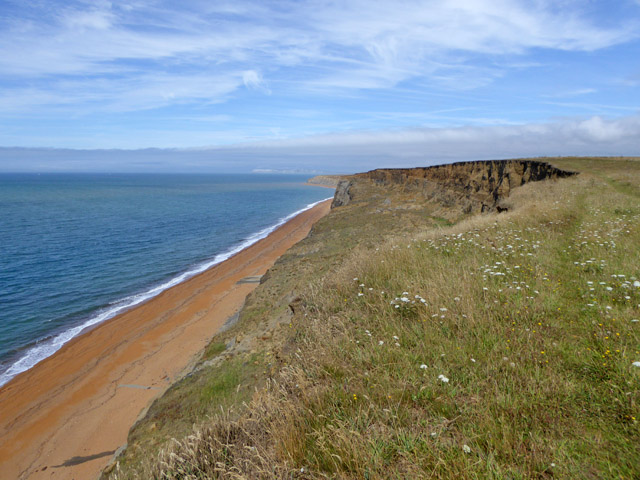 Cliff west of Whale Chine © Robin Webster :: Geograph Britain and Ireland