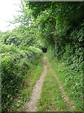 SO8506 : Footpath from Painswick Old Road to Folly Lane by Humphrey Bolton