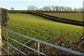 Field above Pitt