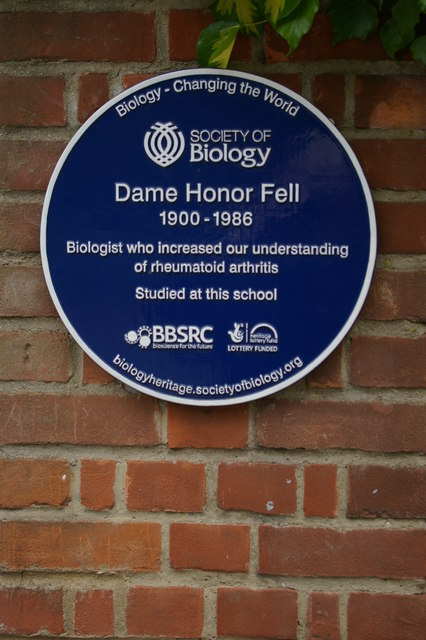 Blue plaque to Honor Fell, outside Wychwood School, Banbury Road, Oxford