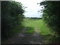 Farm track, Warndon