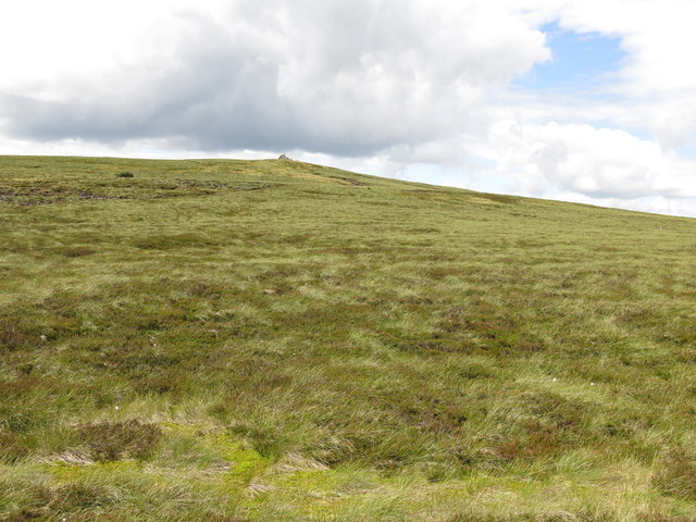 Moorland below the currick on Killhope Law