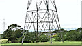 Pylon, Little Ballymena, near Ballyclare (July 2017)