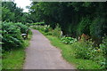 On the Monmouthshire and Brecon Canal towpath