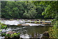 River Usk at Llangynidr