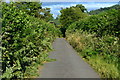 Castle Road, Llangynidr