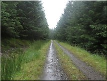 NY7183 : Forest track in Wark Forest by Graham Robson