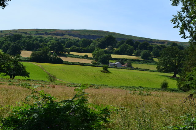 Fields below Ty Mawr, seen from the canal