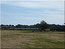 SX9784 : Passing trains near Powderham by Chris Allen