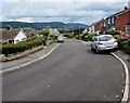 Contrasting housing, Linden Grove, Govilon