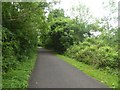ST6966 : Bristol and Bath cycle path in Tennant's Wood by David Smith