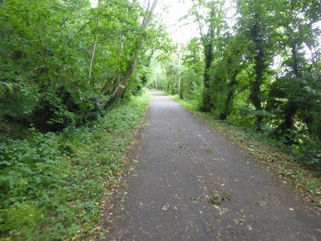Bristol and Bath cycle path passing Tennant's Wood