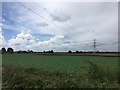 Power lines and pylon and Bartonmoss Farm