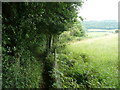 Footpath from Flooy Lane to Slad Road