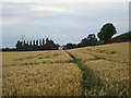 Wheatfield and Brickyard Farm