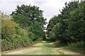 The Path to Breach Barns