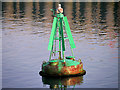 J3678 : Starboard Marker Buoy (Number 17), Belfast Harbour by David Dixon