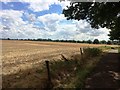 Bridleway and Stubble Field on the Fringes of Edenthorpe