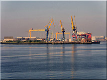 J3676 : Queen's Island, Belfast Harbour by David Dixon