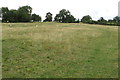 Footpath to Allithorne Wood