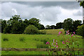 Fields beside Park Brook