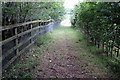 Footpath to Whitfield