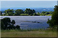 SK6804 : Solar farm near Old Ingarsby by Mat Fascione
