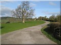 Lane to Llan Farm