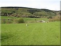 Footpath to Cwm