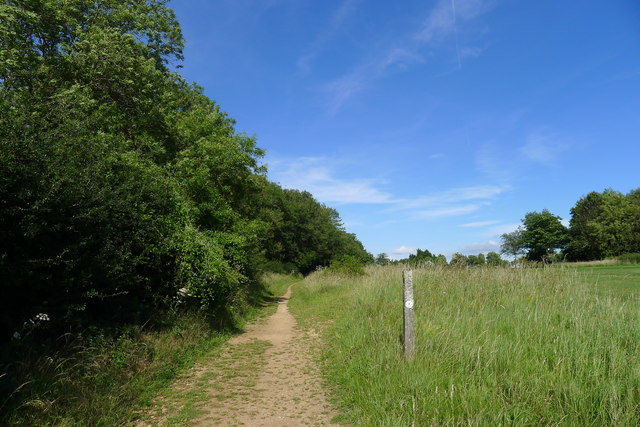 The Cotswold Way alongside Pipley Wood © Tim Heaton cc-by-sa/2.0 ...