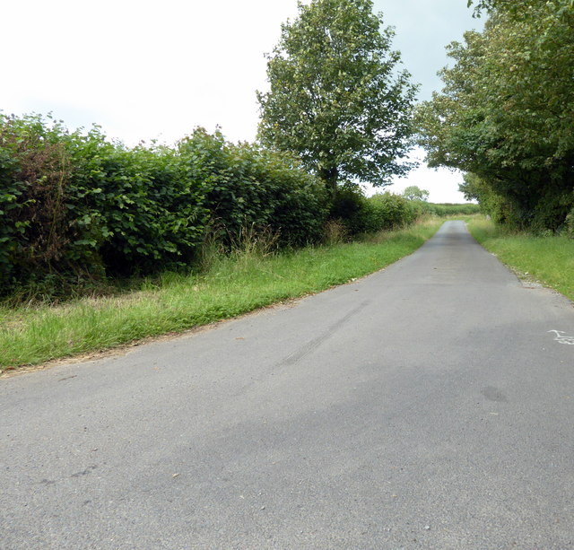 Ubley Grove near Junction with B3134