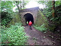 Pont Reilffordd ger Gelli Tarw / Railway bridge near Gelli Tarw