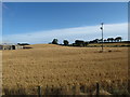 Cropland north of the Ballydugan Road outside of Clough