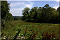 Open land off Nutfield Lane