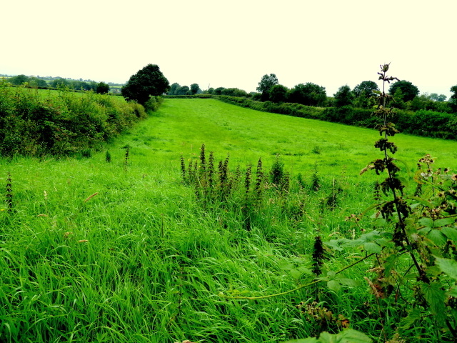 Green field along Goland Road