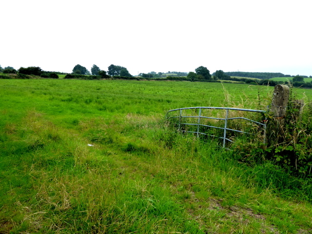 An open field, Loughans