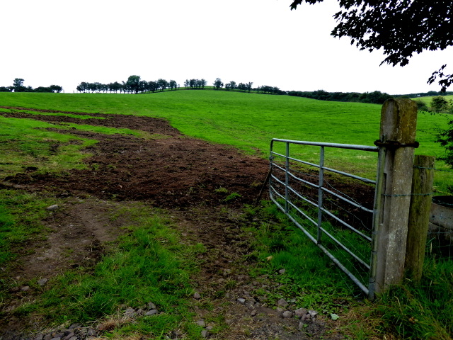 An open field, Loughans